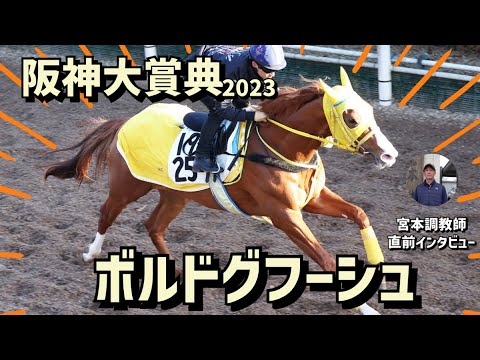 【阪神大賞典2023】ボルドグフーシュを管理する栗東・宮本博調教師にインタビュー《東スポ競馬ニュース》