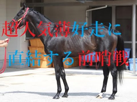 高松宮記念 2023 能力で劣らない超人気薄 前走からパフォーマンスを上げる隠れた実力馬と超人気薄