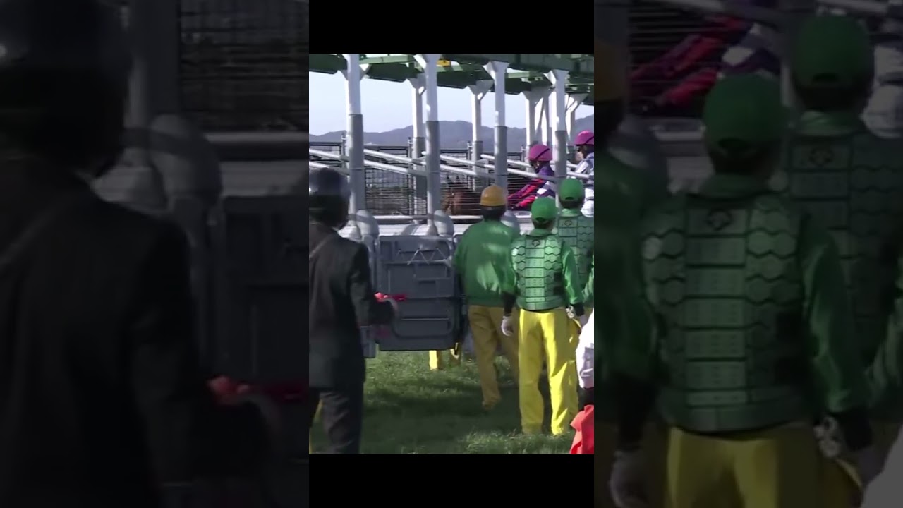 競馬豆知識　ゲートの枠入りで絶対に知っておくべきこと！？　#shorts