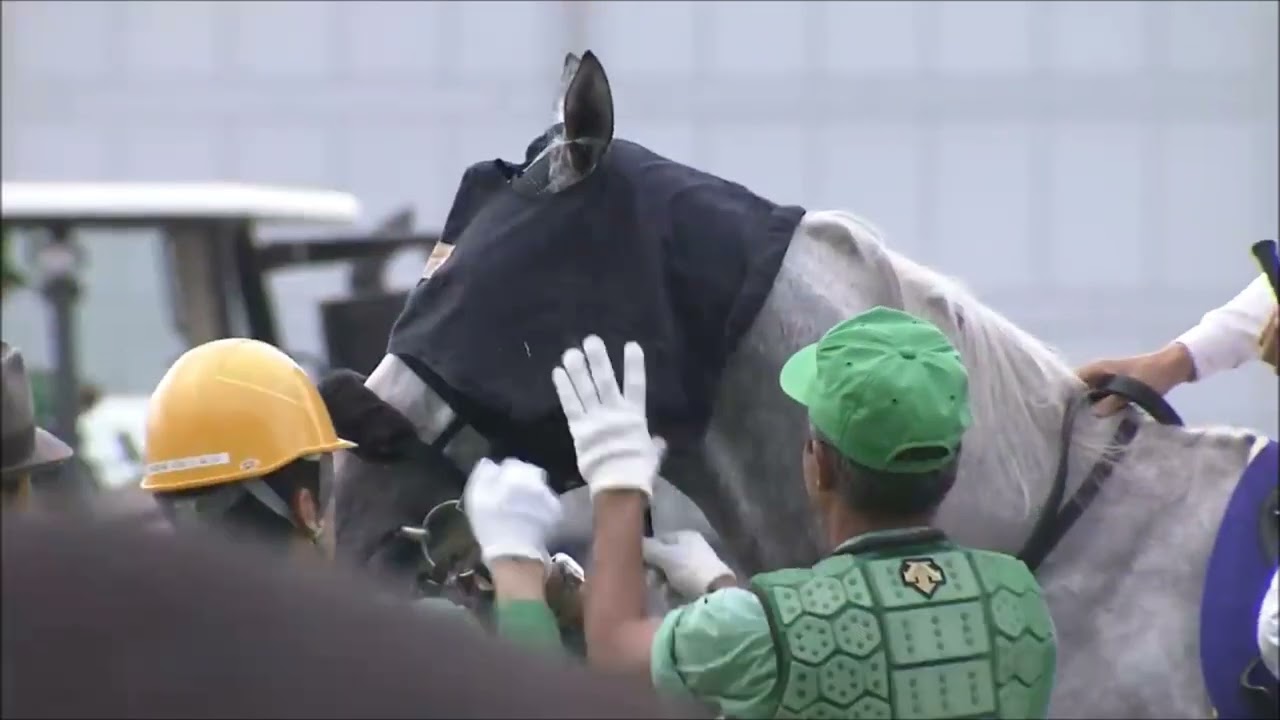 『天に向かって手を上げた　横山典弘。』第151回　天皇賞(春)(G1)　芝右 外3200m　ゴールドシップ 　牡6 　58 　2015.5.3　　出走馬：フェイムゲーム、カレンミロティック、キズナ他