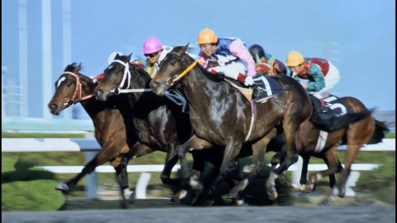 第３４回　農林水産省賞典　阪神３歳ステークス　　ダイゼンキング　牡２　54　田原成貴　1982.12.12　　出走馬：ニホンピロウイナー、エリモタイヨー、シャダイソフィア、メジロモンスニー他