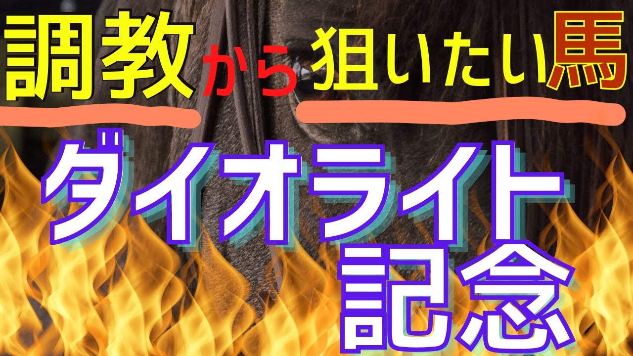 【ダイオライト記念 2023】調教から狙いたい馬！今年は地方勢の台頭もあるか？