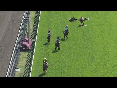 藤井勘一郎 落馬した馬に踏まれ...