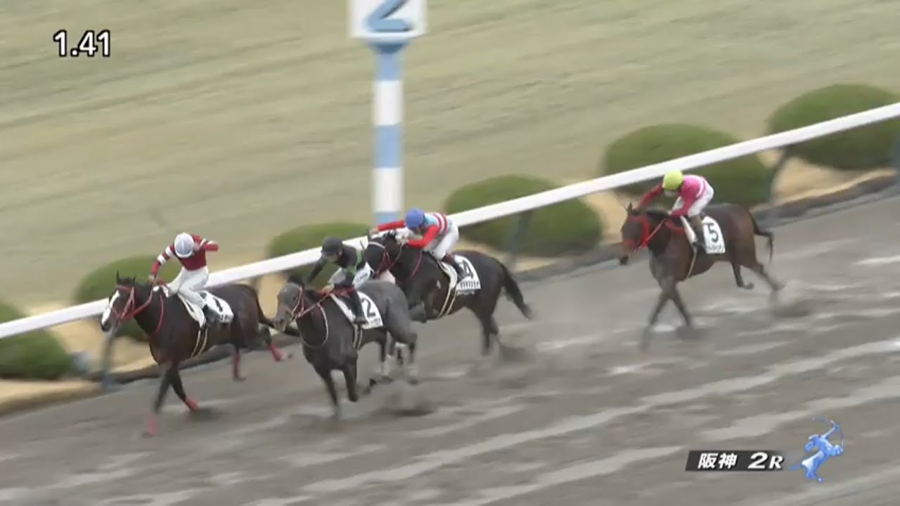2023/03/18　阪神競馬場　2R　ミスティックロア　川田将雅騎手　3歳未勝利