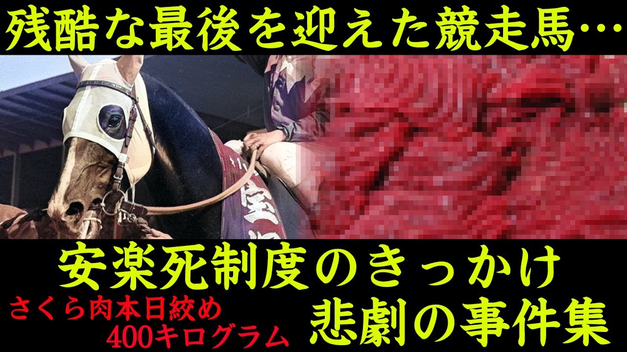 【競馬】残酷な最後を迎えた競走馬…『安楽死制度』のきっかけとなったハマノパレードさくら肉事件の真相に驚きを隠せない…！