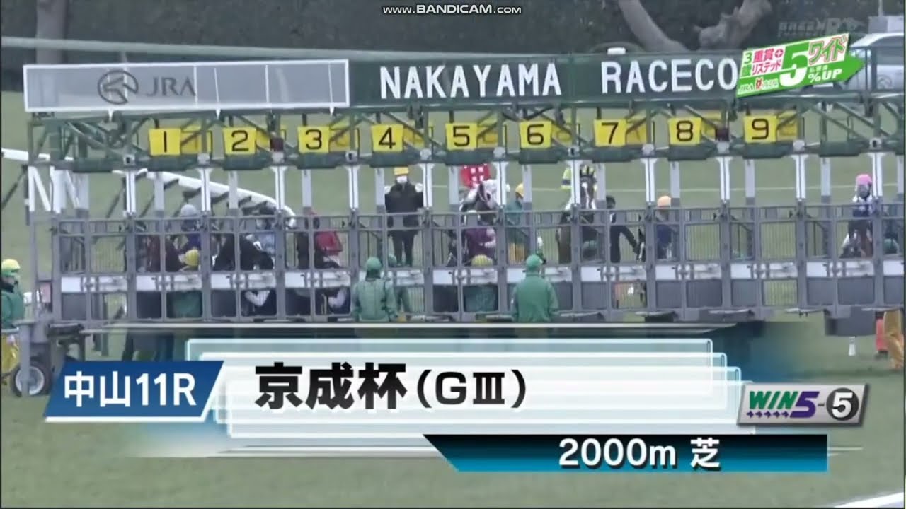2023年 京成杯（GIII）ファンファーレ