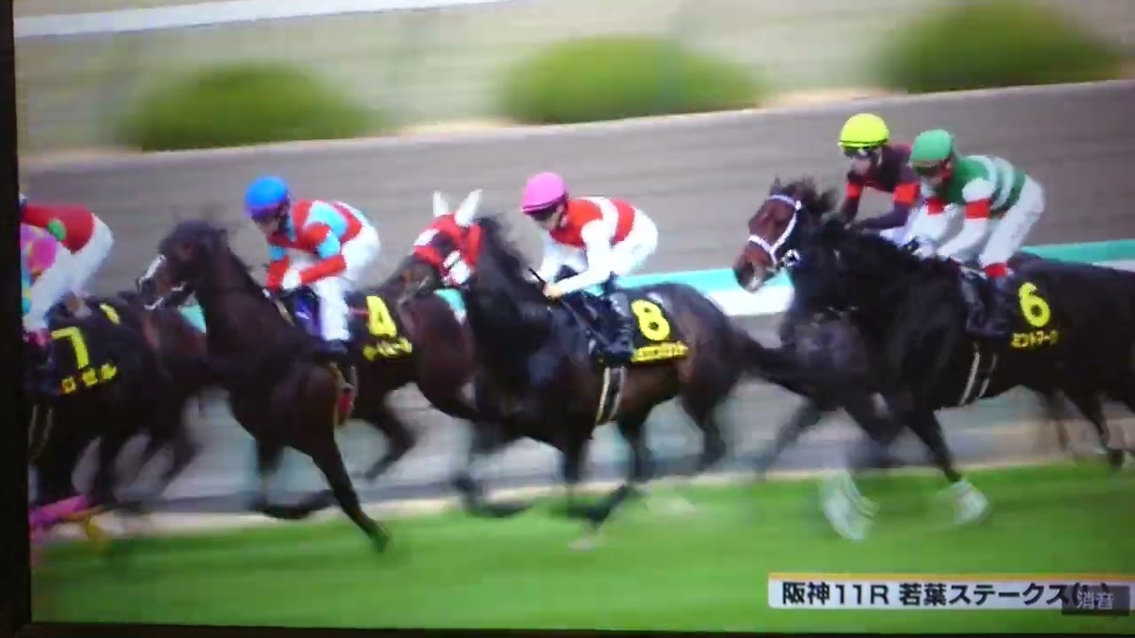 20230318 阪神競馬11R 若葉ステークス(リステッド・皐月賞トライアル)