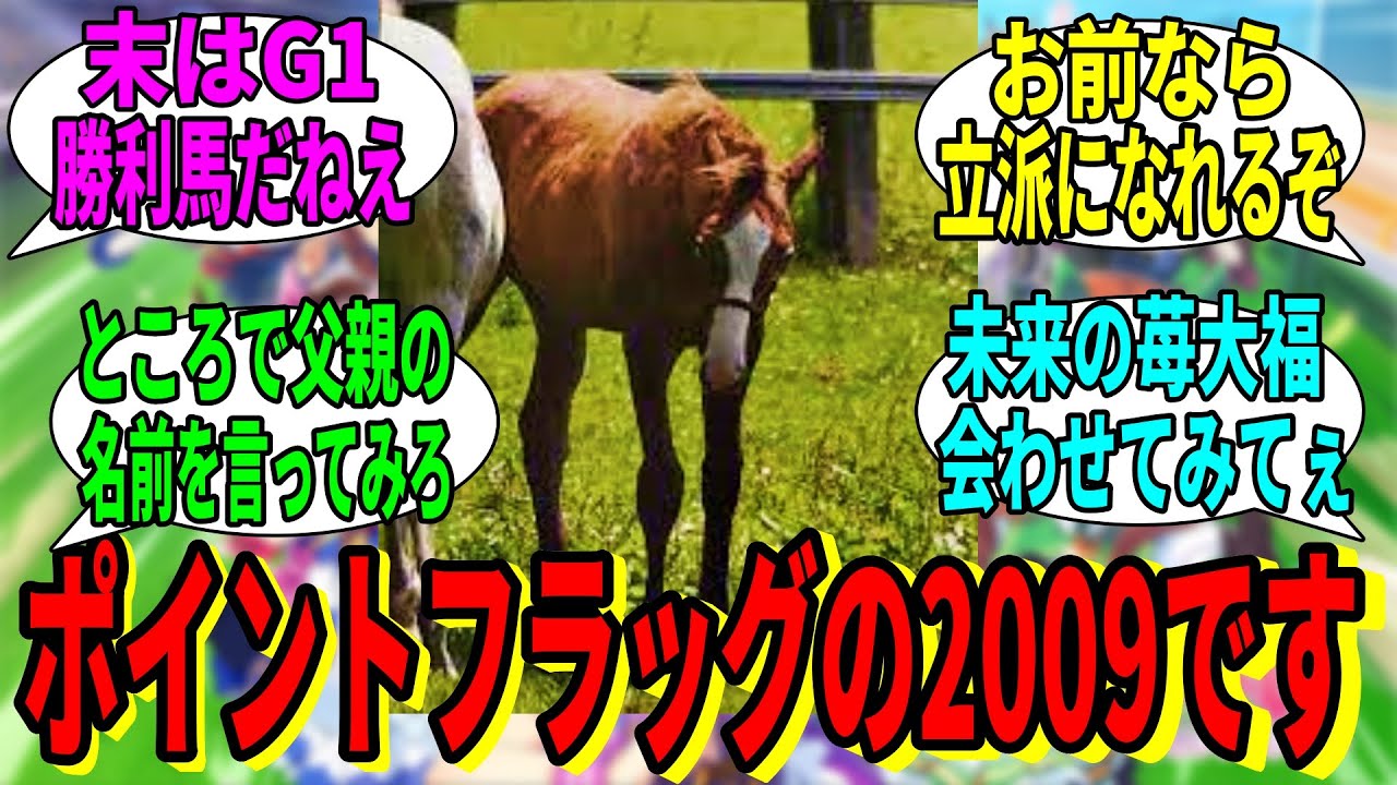 【競馬の反応集】「ポイントフラッグの2009といいます」に対する視聴者の反応集