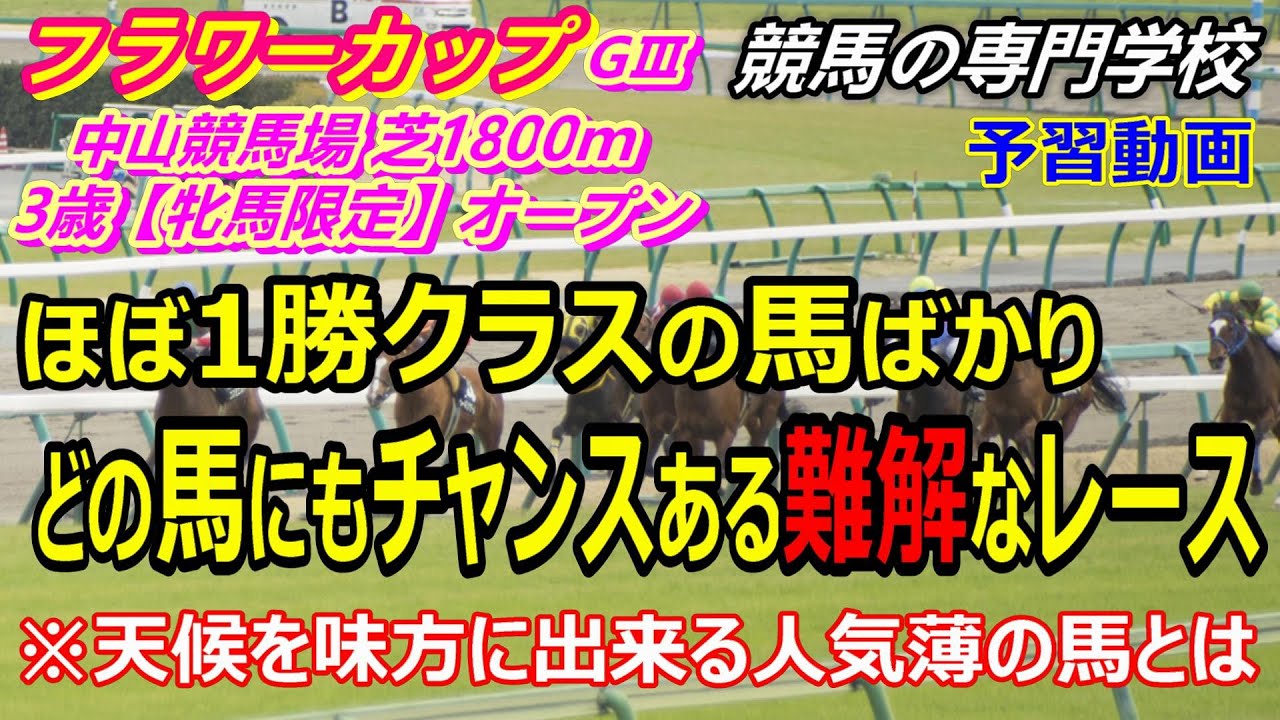 【フラワーC2023】土曜重賞 1勝馬ばかりの難解なレース