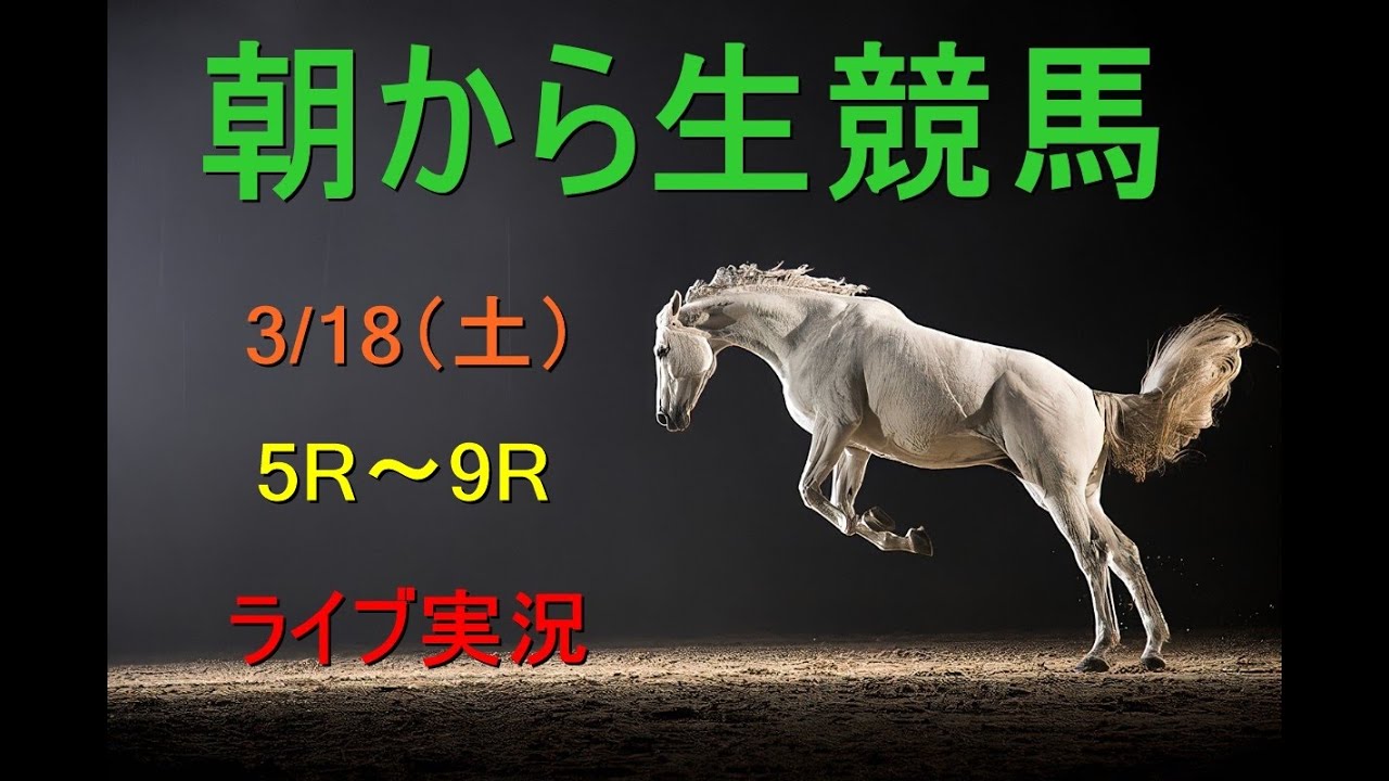 【競馬実況】朝から生競馬　ライブ配信　（中京→阪神→中山）Horse Racing Commentary