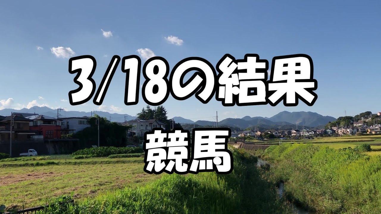 今日の結果  競馬