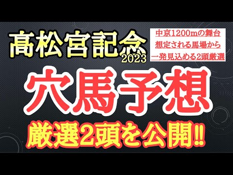 【高松宮記念2023】穴馬予想！道悪を苦にせずパフォーマンスを出して激走できそうな2頭を厳選！その馬たちとは！？