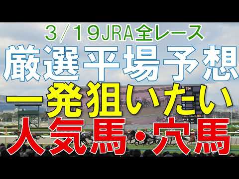 JRA 3月19日 競馬 平場 予想 狙いたい人気馬・穴馬