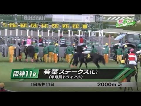【若葉ステークス＜皐月賞ＴＲ＞】R5.3/18（Ｌ／阪神・芝2000m ﾗｼﾞｵ実況版）