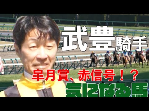 【武豊】皐月賞騎乗予定のタッチウッド、皐月賞出走はボーダーライン
