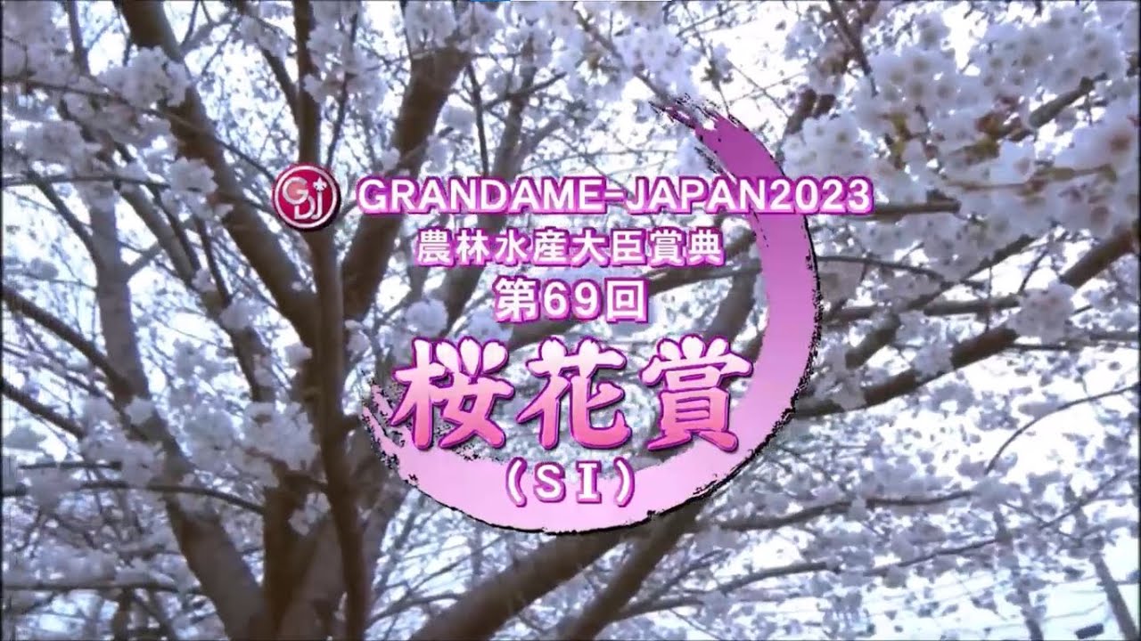 【競馬】浦和桜花賞 2023結果