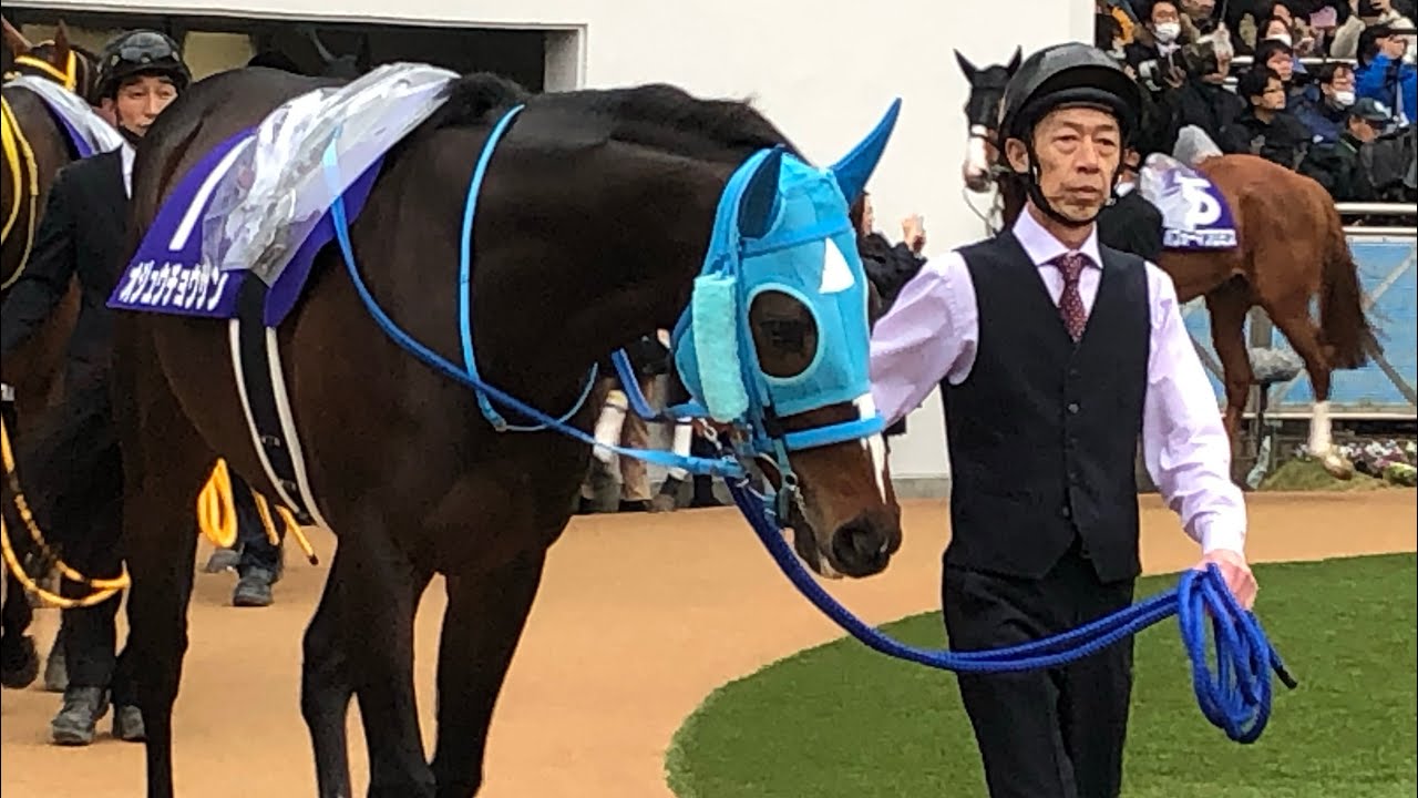 【オジュウチョウサン　有馬記念2018パドック】#オジュウチョウサン　#マカヒキ　#サトノダイヤモンド　#ブラストワンピース　#レイデオロ　#シュヴァルグラン　#キセキ　#スマートレイアー