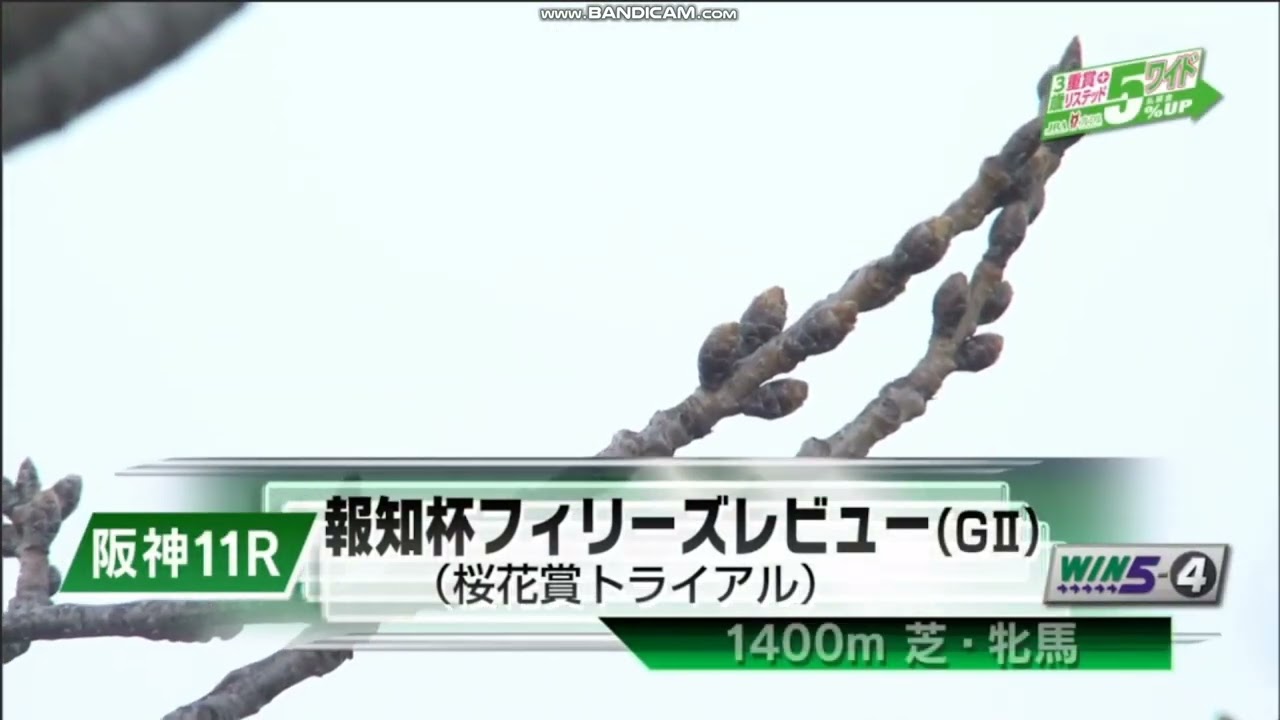 2023年 フィリーズレビュー（GII）ファンファーレ