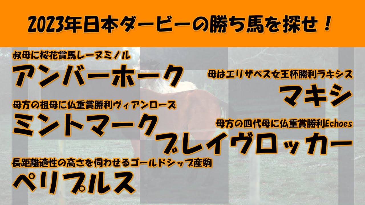 2023年日本ダービー馬を探せ！#40　アンバーホーク、ミントマーク、ぺリプルス、マキシ、ブレイヴロッカーを注目馬として取り上げました。