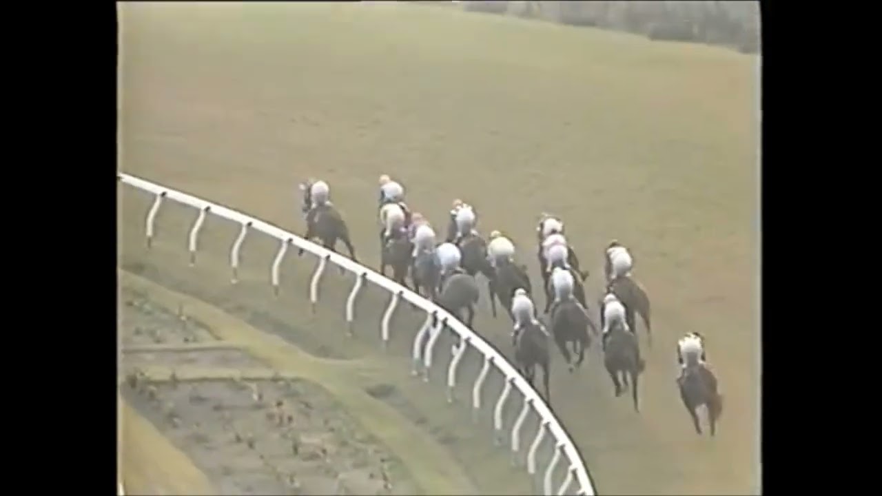 第８６回　天皇賞（秋）　メジロティターン　牡４　58　伊藤正徳　1982.10.31　　出走馬：ヒカリデユール、カツアール、トドロキヒホウ、アンバーシャダイ、メジロファントム、キョウエイプロミス他