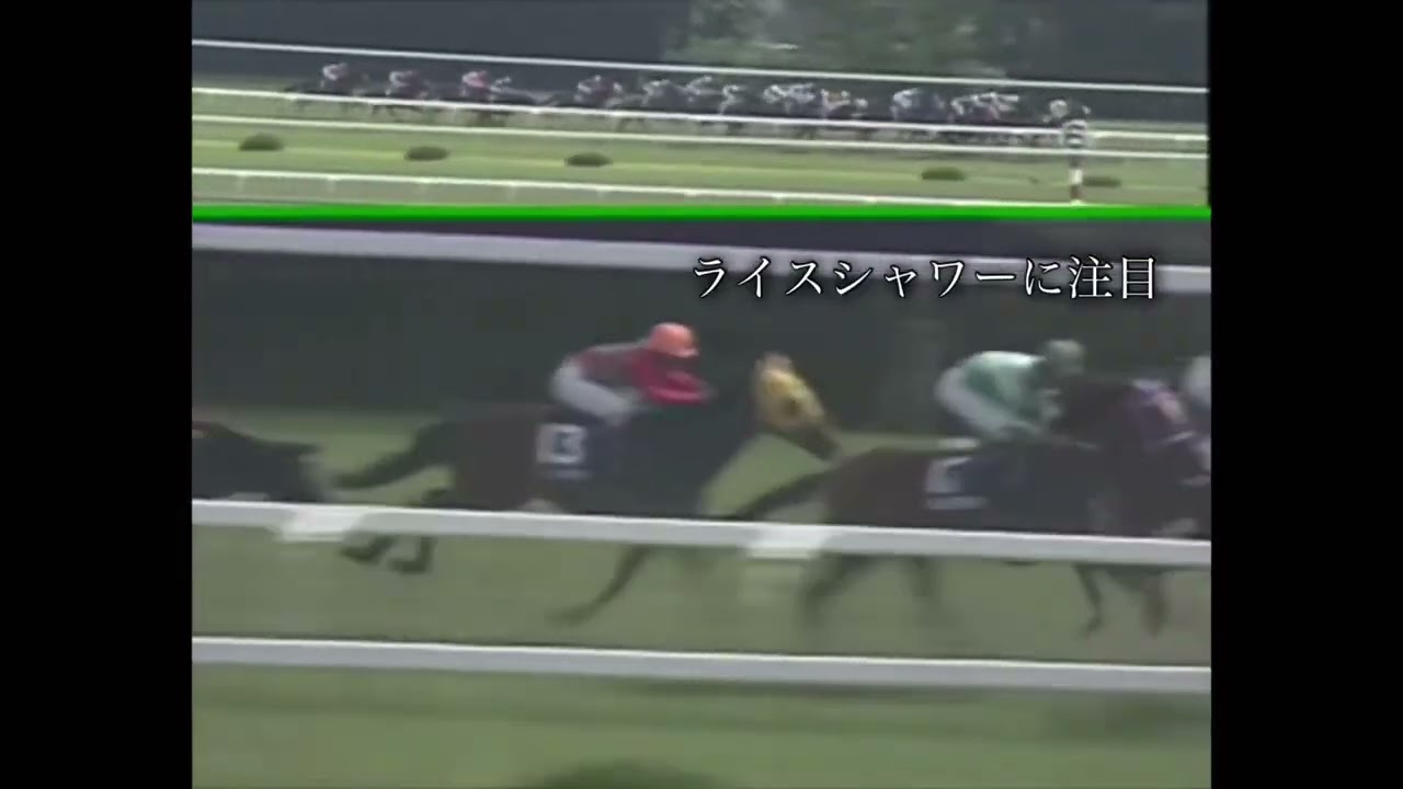 ライスシャワー1995年宝塚記念「ダンツシアトル」