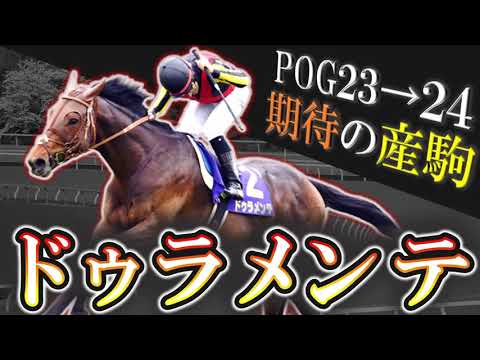 【2歳馬】猛々しく才能爆発！ドゥラメンテ期待の産駒を10頭紹介します！【pog23-24】