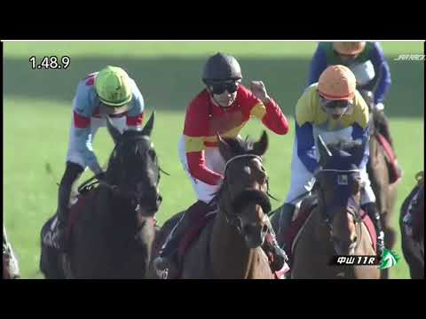 無敗馬が激突した、3/19スプリングステークス（皐月賞の軸馬決定）