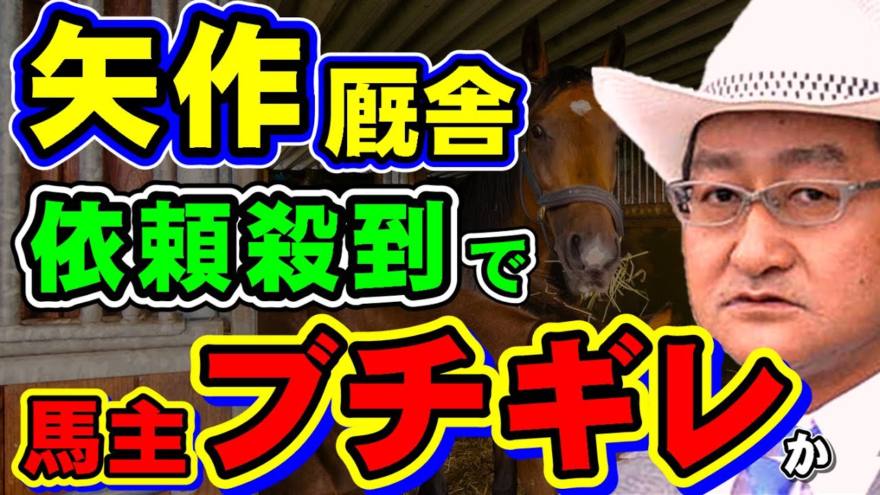 【馬主悲報】矢作厩舎、人気すぎて依頼殺到！トップを独走するチーム矢作の強さの秘密とは？