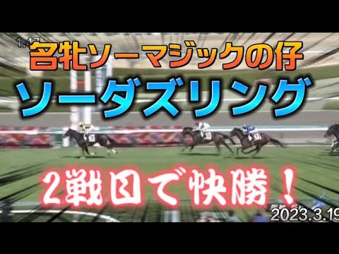 【ソーマジックの仔】ソーダズリング、いざオークスへ