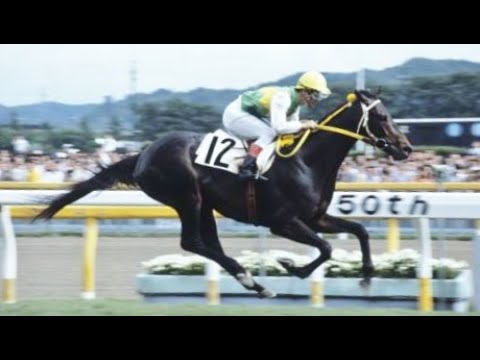 第５０回　東京優駿（日本ダービー）　ミスターシービー　牡３　57　吉永正人　1983.5.29　　出走馬：メジロモンスニー、ビンゴカンタ、カツラギエース 、スズカコバン、シャダイソフィア他