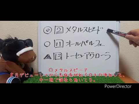 【スプリングＳ】予想