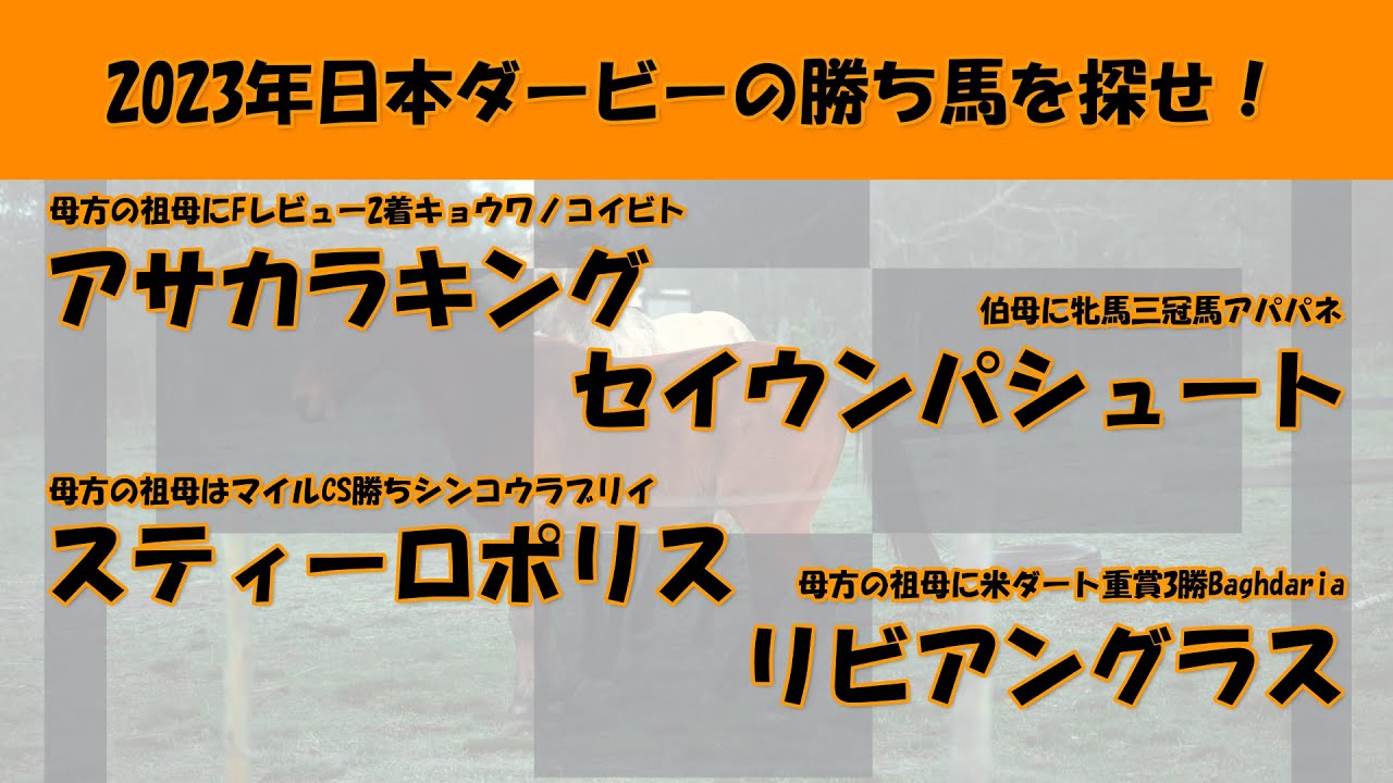2023年日本ダービー馬を探せ！#51　アサカラキング、セイウンパシュート、スティーロポリス、リビアングラスを注目馬として取り上げました。