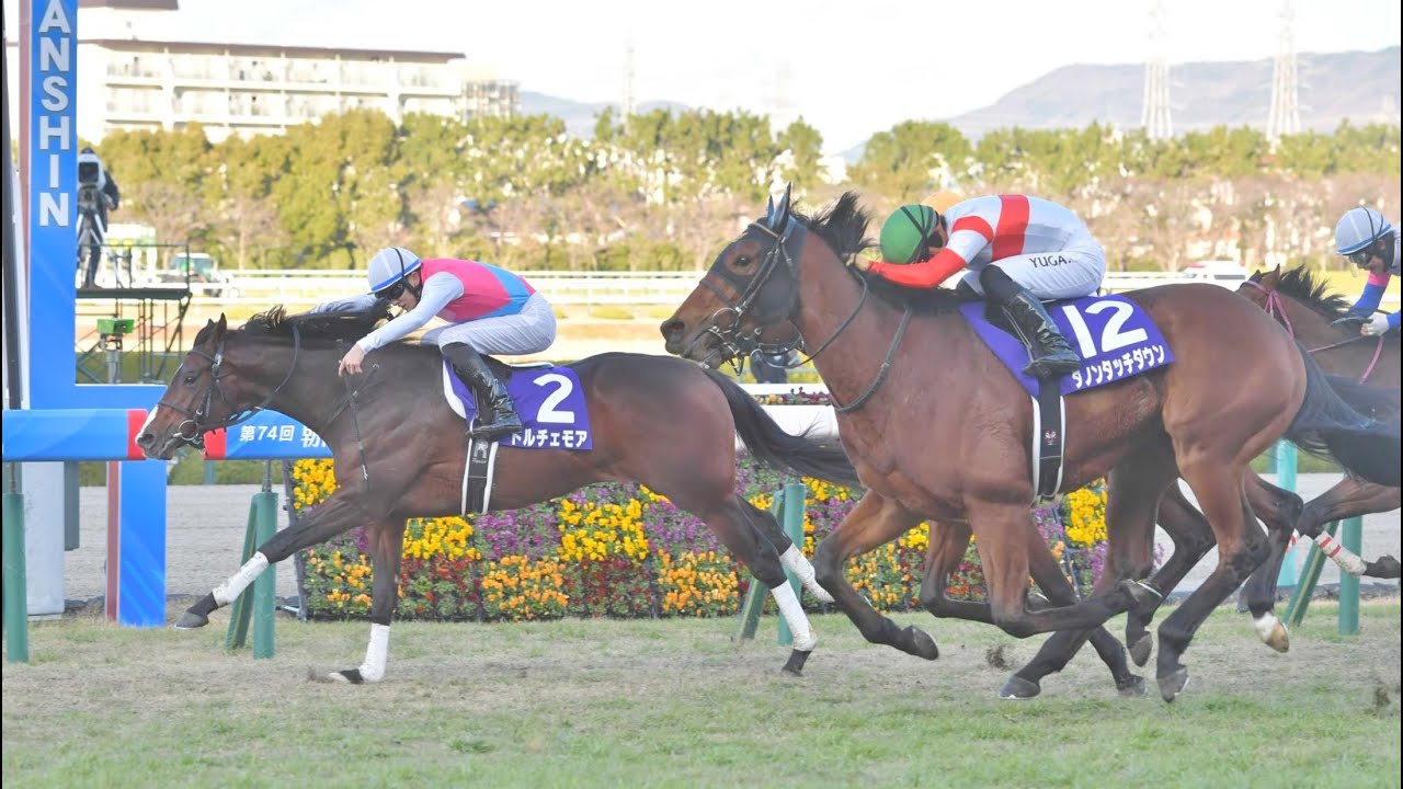 第７４回　朝日杯フューチュリティステークス （ＧⅠ）　ドルチェモア　牡２　55　坂井瑠星　2022.12.18　　出走馬：ダノンタッチダウン、レイベリング 、 キョウエイブリッサ 、オールパルフェ他