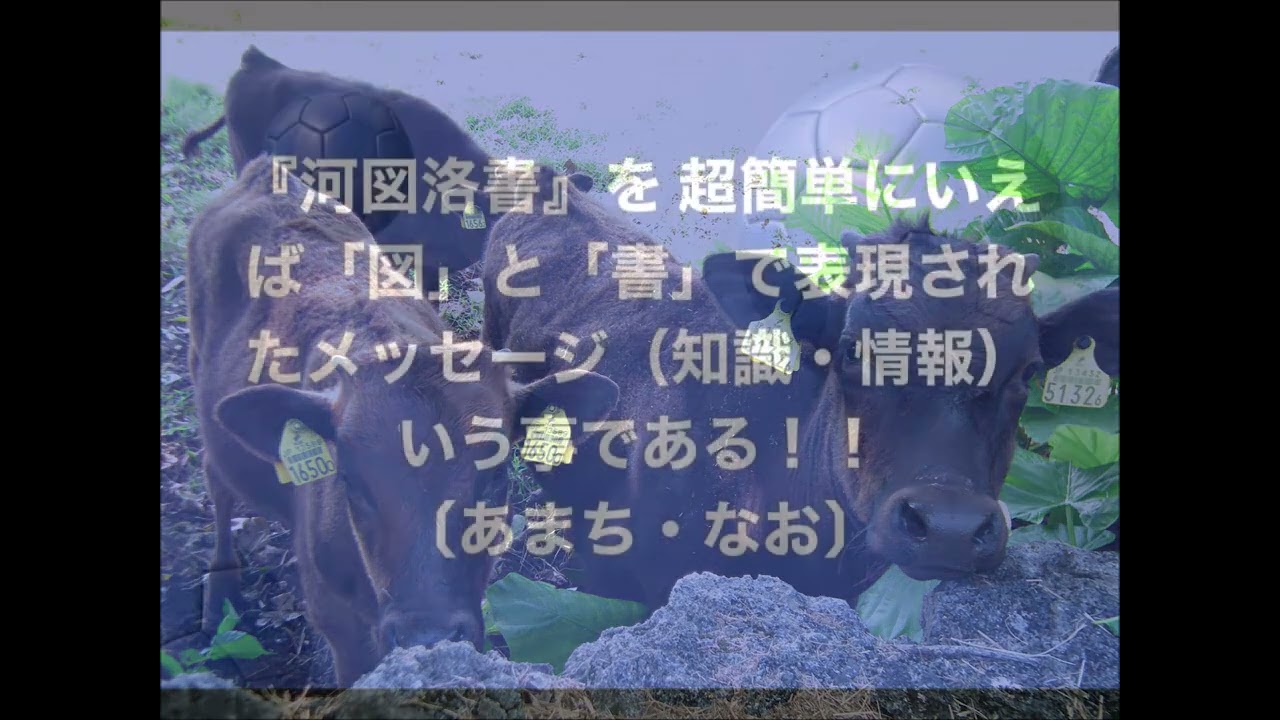 あまち なおの言葉（056）