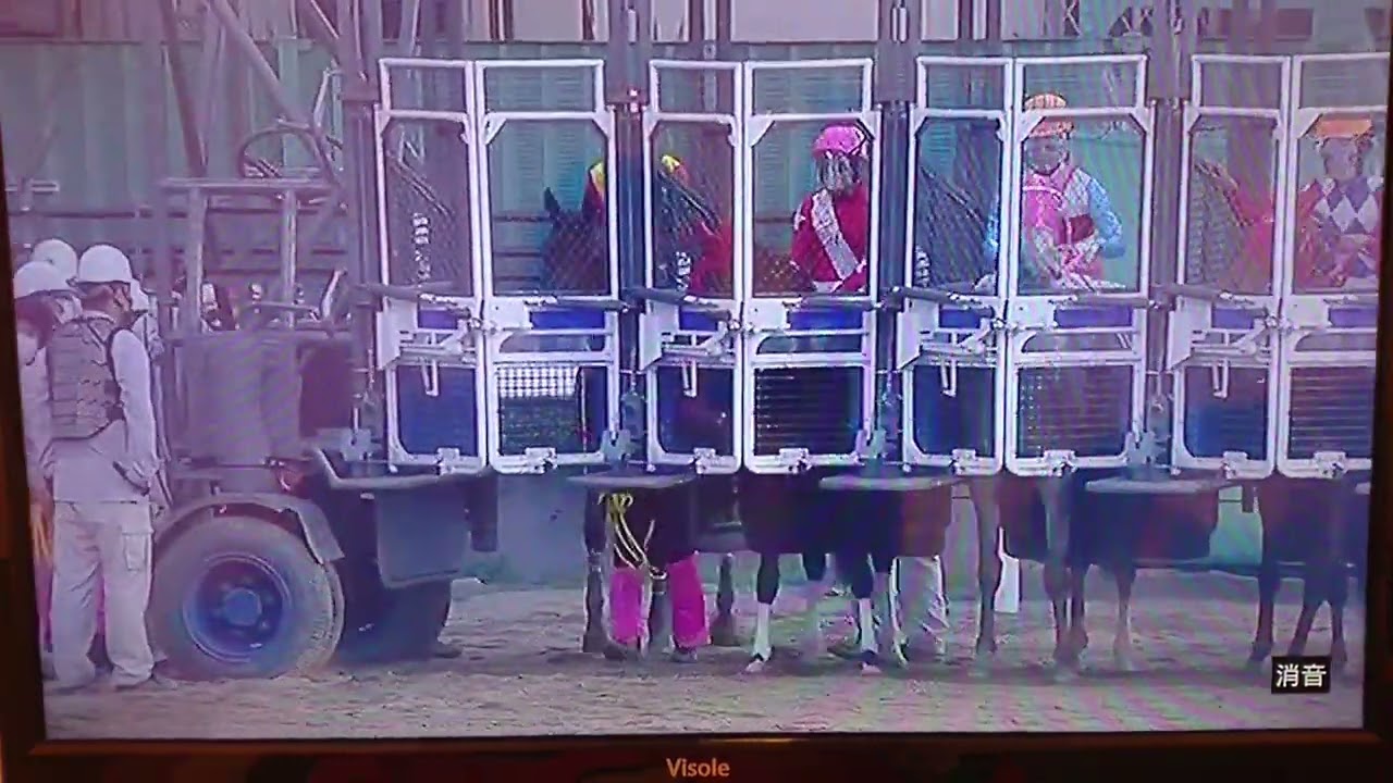 20230322 浦和競馬11R 第69回桜花賞(S1)