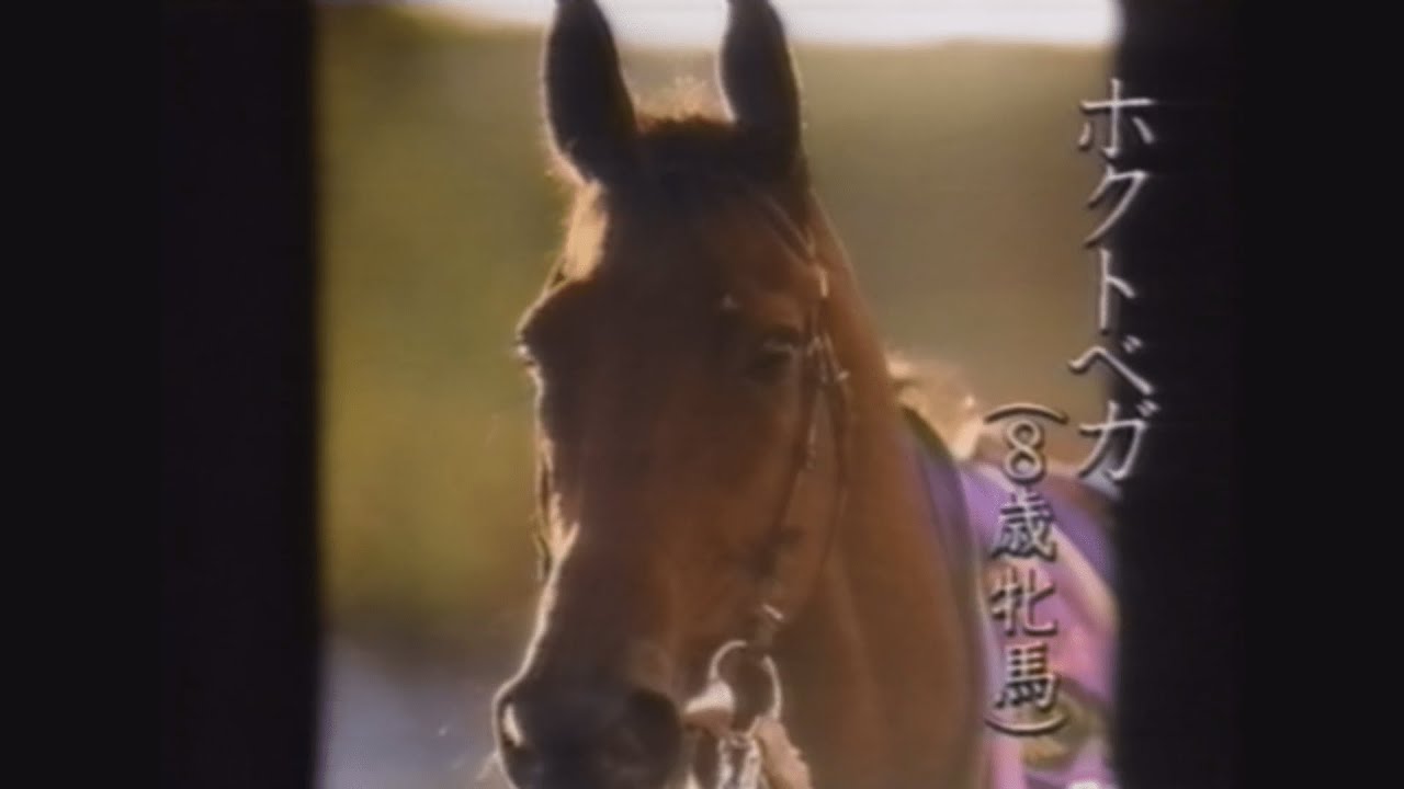 ドバイに散った砂の女王・ホクトベガ