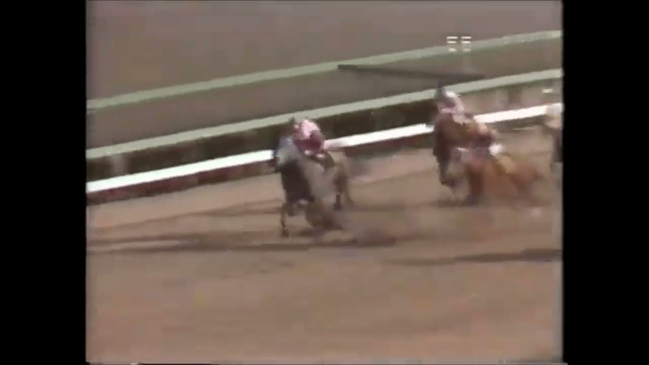 第１８回　スプリンターズステークス （ＧⅢ）　ハッピープログレス　牡６　57　飯田明弘　1984.3.18　　出走馬：ワールドキング、ノーザンキーラー 、サーペンスール、プロメイド他