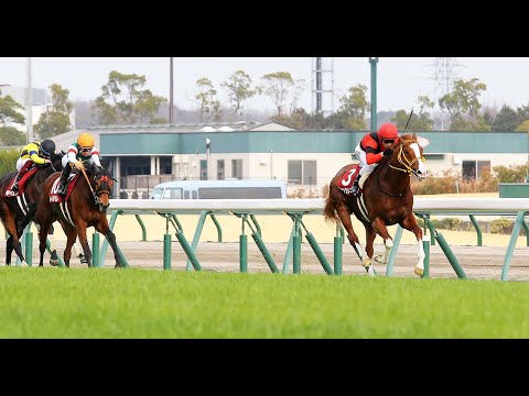 ３月４週　3/16　【枠連投資馬券塾】＃レース展望　＃スプリングS　馬券になる２つの馬番公開中です
