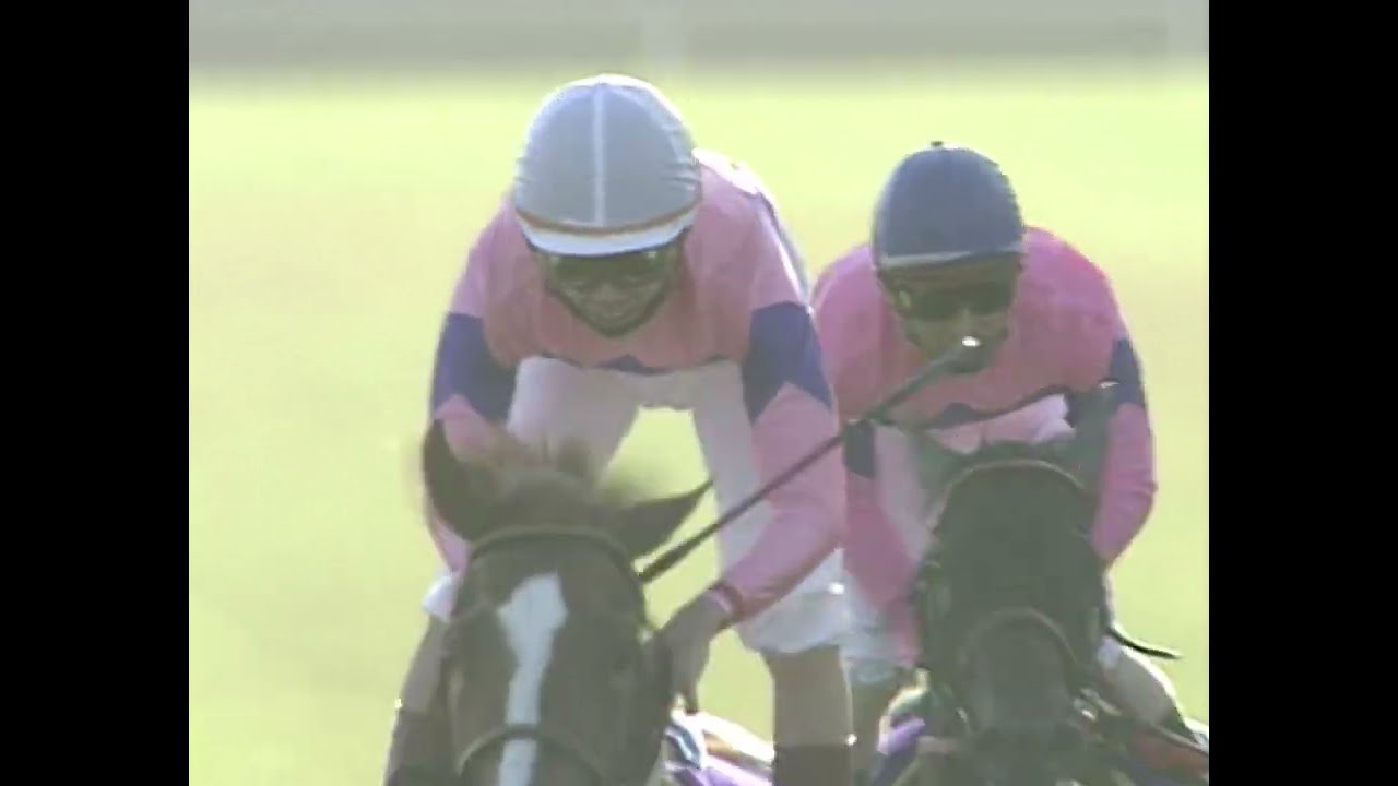 テイエムオペラオー 1999年 第60回菊花賞(GI) (優勝馬：ナリタトップロード)