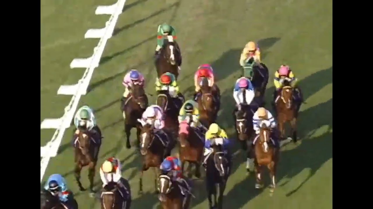 テイエムオペラオー 1999年 第60回菊花賞(GI) (優勝馬：ナリタトップロード) (実況：ラジオたんぱ)