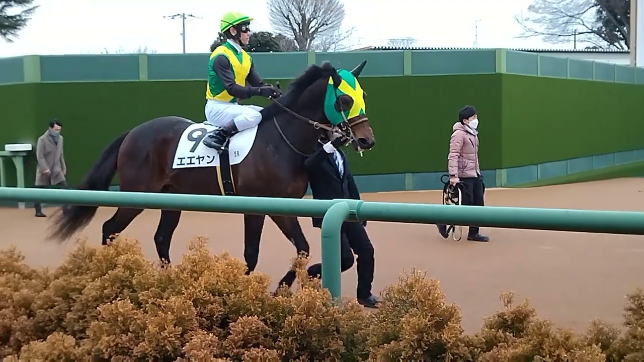 中山競馬場本馬場入場