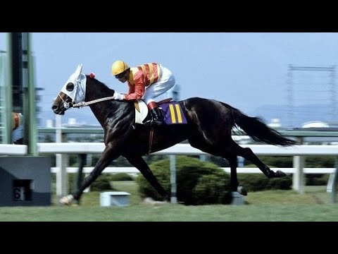 第２４回　宝塚記念　ハギノカムイオー　牡４　56　伊藤清章　1983.6.5　　出走馬： ズシゲ 、ヤマノシラギク 、ミスラディカル、マサヒコボーイ、メジロファントム 、オペックホース、カツアール他