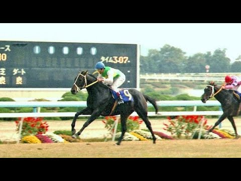 第４４回　菊花賞　ミスターシービー　牡３　57　吉永正人　1983.1.13　　出走馬：ビンゴカンタ、シンブラウン、リードホーユー、ダイゼンキング、ルーキーオー、ドウカンヤシマ、カツラギエース他