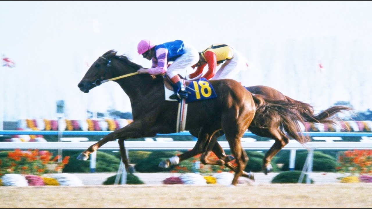 第８回　エリザベス女王杯 　ロンググレイス　牝３　55　河内洋　1983.11.20　　出走馬：シャダイソフィア、グローバルダイナ 、サクラハツユキ 、ジョーキジルクム 、サカエロッキー他