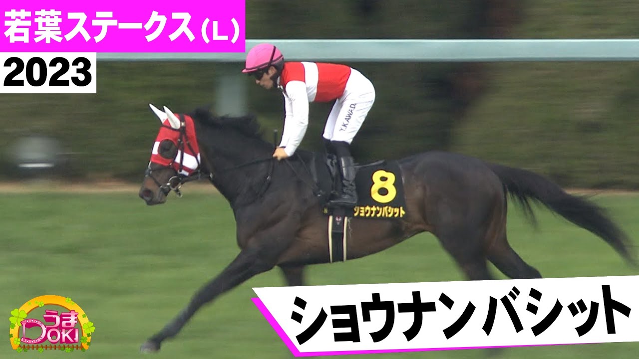 2023年 若葉ステークス（Ｌ）ショウナンバシット（川田 将雅 騎手）　川田騎手「権利を取れて皐月賞に向かえるのは何より」【うまＤＯＫＩ】
