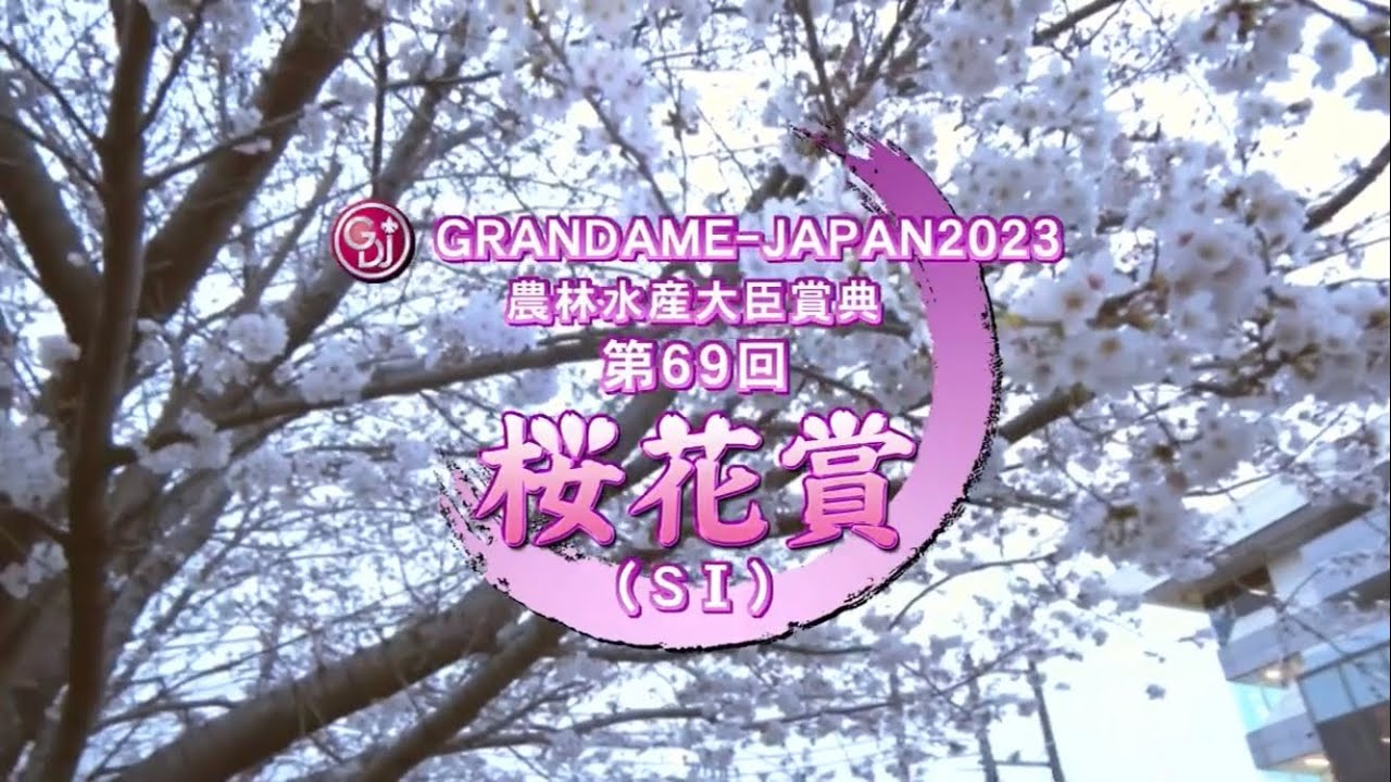 第６９回 桜花賞(S I)３歳牝馬オープン［2023.3.22 浦和第11R/1500m ダート］