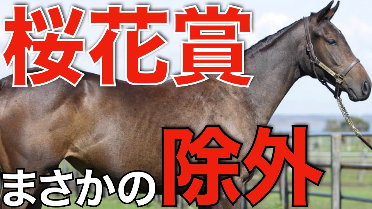 【異常事態】桜花賞で実力馬たちがまさかの除外！？皐月賞参戦もありえるか。
