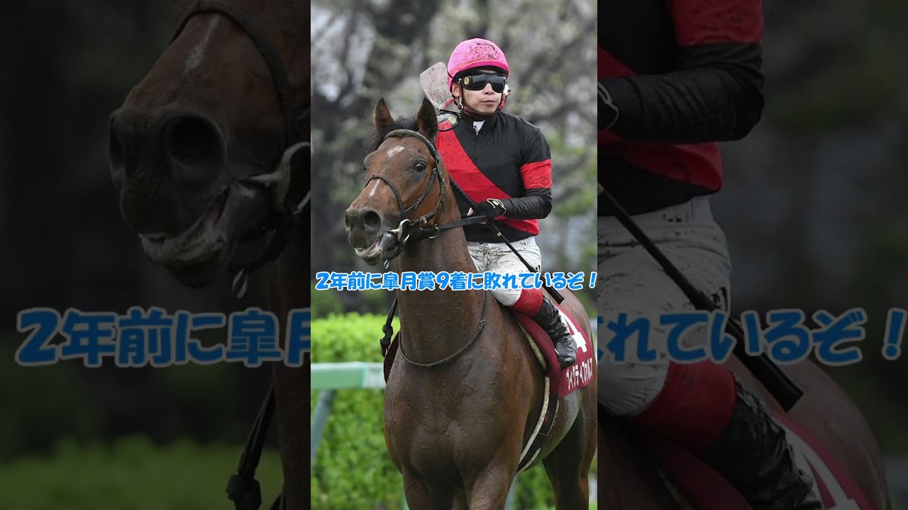 【カオス】今年の日本ダービー候補を聞いてみたらとんでもないことに