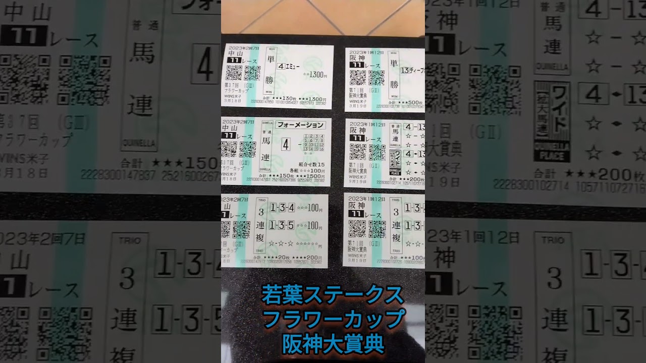 2023若葉ステークス・フラワーカップ・阪神大賞典【ブイおじさん馬券公開】