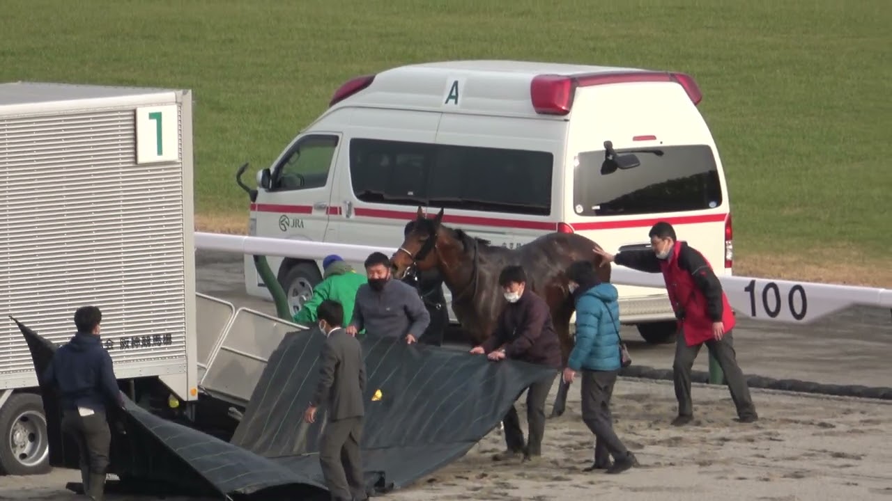 閲覧注意 これも競馬の現実 担当者にとっては厳しい決断を迫られる 現地映像